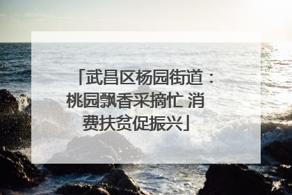 武昌区杨园街道：桃园飘香采摘忙 消费扶贫促振兴