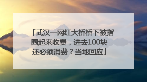 武汉一网红大桥桥下被指圈起来收费，进去100块还必须消费？当地回应
