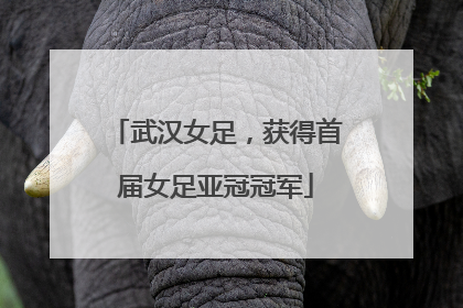 武汉女足，获得首届女足亚冠冠军