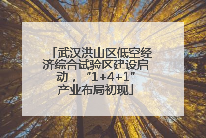 武汉洪山区低空经济综合试验区建设启动，“1+4+1”产业布局初现
