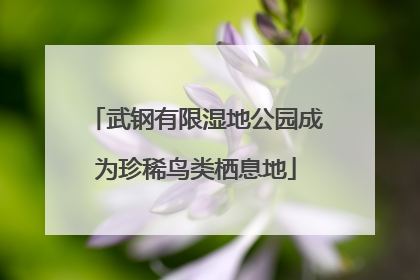 武钢有限湿地公园成为珍稀鸟类栖息地