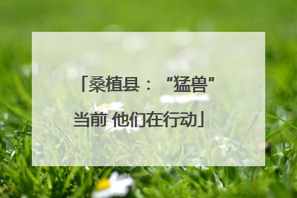 桑植县：“猛兽”当前 他们在行动