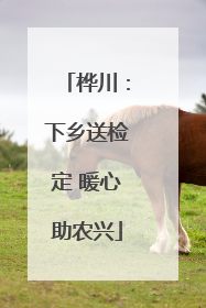 桦川：下乡送检定 暖心助农兴