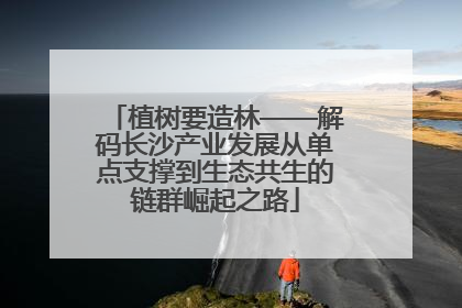 植树要造林——解码长沙产业发展从单点支撑到生态共生的链群崛起之路
