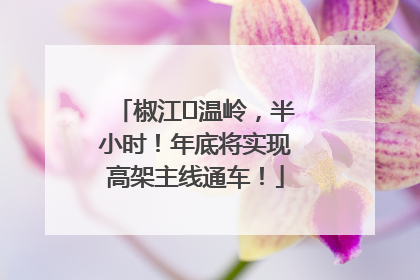 椒江⇌温岭，半小时！年底将实现高架主线通车！