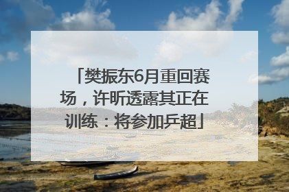 樊振东6月重回赛场，许昕透露其正在训练：将参加乒超