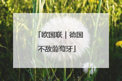 欧国联｜德国不敌葡萄牙