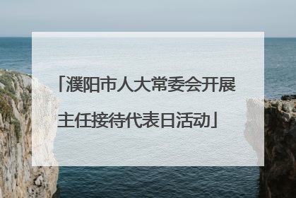 濮阳市人大常委会开展主任接待代表日活动