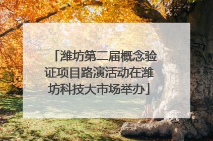 潍坊第二届概念验证项目路演活动在潍坊科技大市场举办