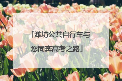 潍坊公共自行车与您同奔高考之路