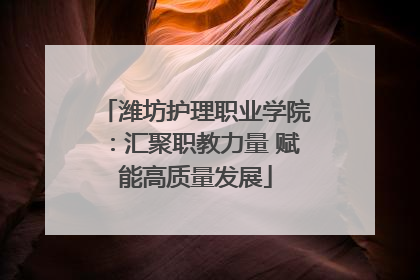 潍坊护理职业学院：汇聚职教力量 赋能高质量发展