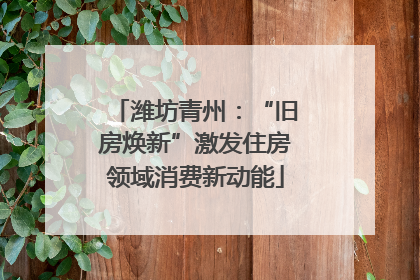 潍坊青州：“旧房焕新”激发住房领域消费新动能