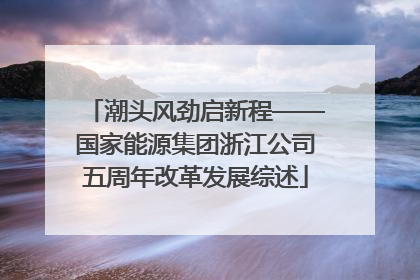潮头风劲启新程——国家能源集团浙江公司五周年改革发展综述