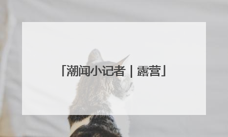 潮闻小记者｜露营