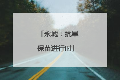 永城：抗旱保苗进行时