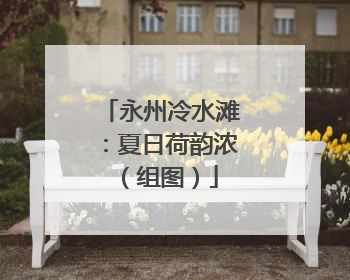 永州冷水滩：夏日荷韵浓（组图）