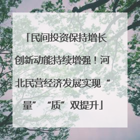 民间投资保持增长 创新动能持续增强！河北民营经济发展实现“量”“质”双提升