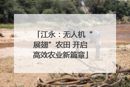 江永：无人机“展翅”农田 开启高效农业新篇章
