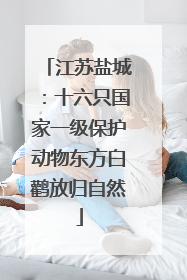 江苏盐城：十六只国家一级保护动物东方白鹳放归自然