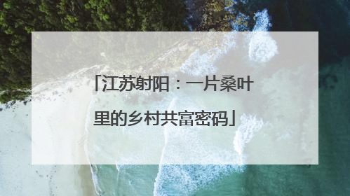 江苏射阳：一片桑叶里的乡村共富密码