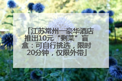 江苏常州一豪华酒店推出10元“剩菜”盲盒：可自行挑选，限时20分钟，仅限外带