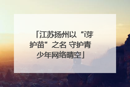 江苏扬州以“i芽护苗”之名 守护青少年网络晴空