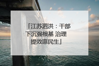 江苏泗洪：干部下沉强根基 治理提效惠民生