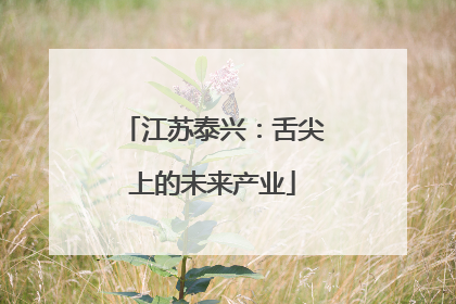 江苏泰兴：舌尖上的未来产业