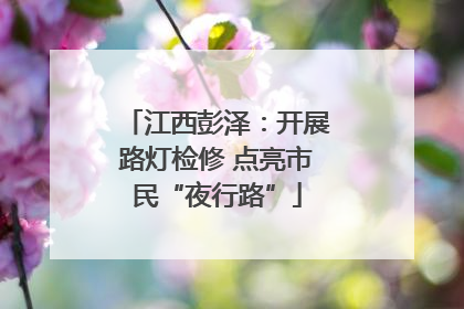 江西彭泽：开展路灯检修 点亮市民“夜行路”