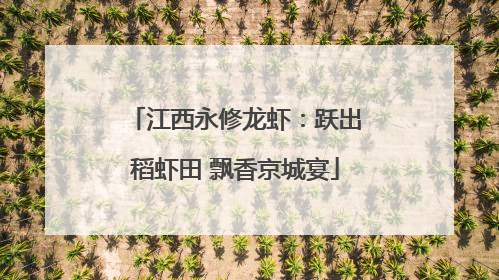 江西永修龙虾：跃出稻虾田 飘香京城宴