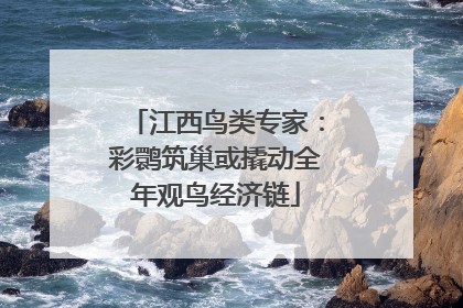 江西鸟类专家：彩鹮筑巢或撬动全年观鸟经济链