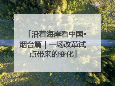 沿着海岸看中国•烟台篇｜一场改革试点带来的变化