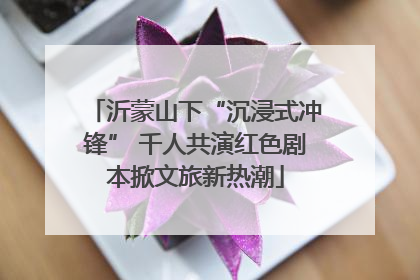 沂蒙山下“沉浸式冲锋” 千人共演红色剧本掀文旅新热潮