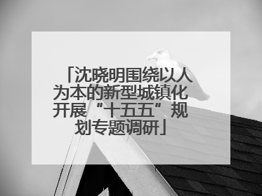 沈晓明围绕以人为本的新型城镇化开展“十五五”规划专题调研