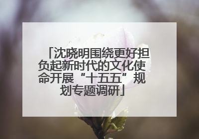沈晓明围绕更好担负起新时代的文化使命开展“十五五”规划专题调研