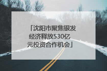 沈阳市聚焦银发经济释放530亿元投资合作机会