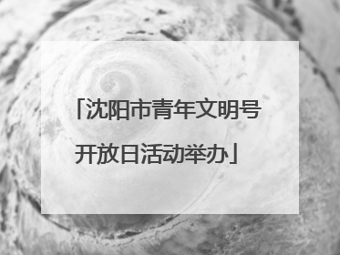 沈阳市青年文明号开放日活动举办