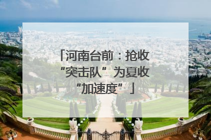 河南台前：抢收“突击队”为夏收“加速度”