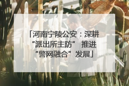 河南宁陵公安：深耕“派出所主防” 推进“警网融合”发展