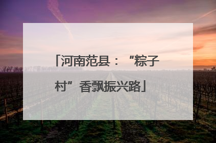 河南范县：“粽子村”香飘振兴路