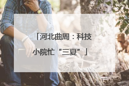 河北曲周：科技小院忙“三夏”
