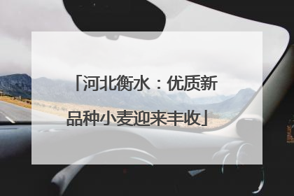 河北衡水：优质新品种小麦迎来丰收