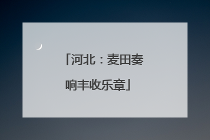 河北：麦田奏响丰收乐章