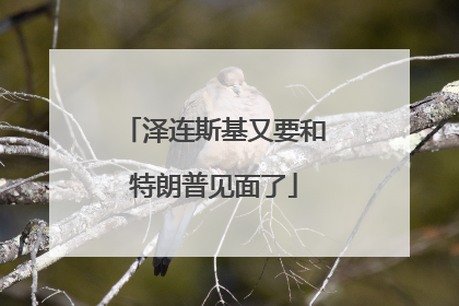 泽连斯基又要和特朗普见面了