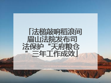法槌敲响稻浪间 眉山法院发布司法保护“天府粮仓”三年工作成效