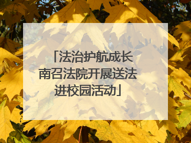 法治护航成长 南召法院开展送法进校园活动