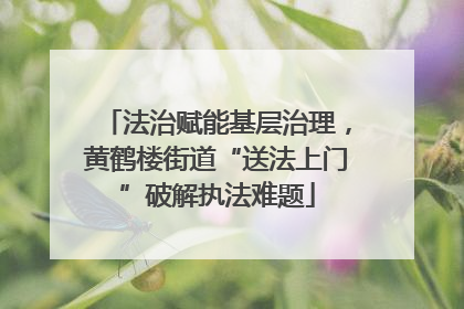 法治赋能基层治理，黄鹤楼街道“送法上门”破解执法难题