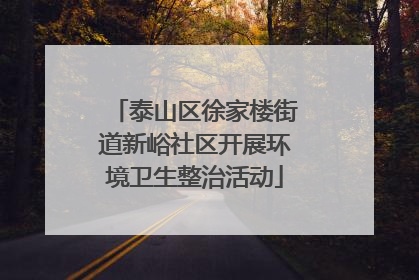 泰山区徐家楼街道新峪社区开展环境卫生整治活动