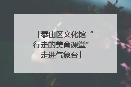 泰山区文化馆“行走的美育课堂”走进气象台