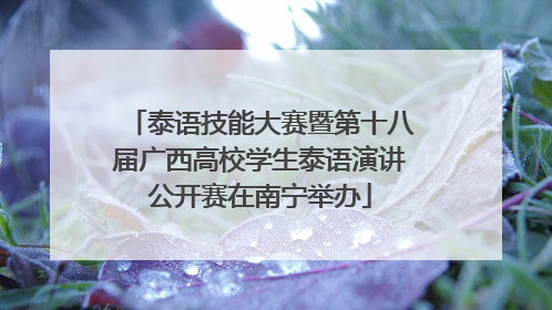 泰语技能大赛暨第十八届广西高校学生泰语演讲公开赛在南宁举办